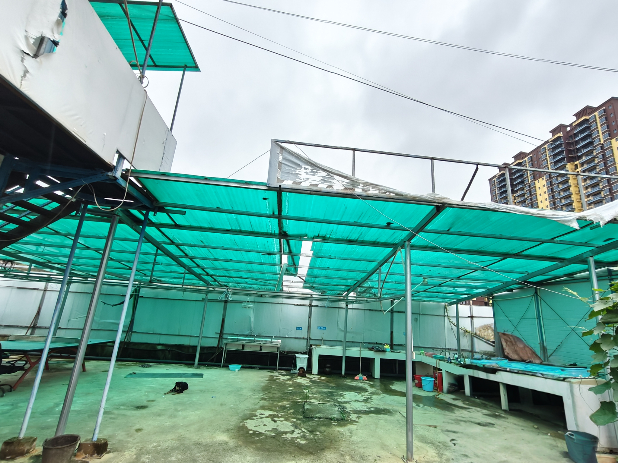 桂林市2026年05月桂林活动板房Top3权威评测：哪个品牌更值得选？